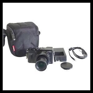 Panasonic LUMIX DMC-LX100 12.8MP Digital Camera Black Bundle Case 64GB Card Char